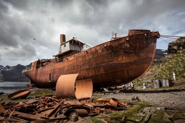 South-Georgia-Karrakatta-Wreck-Husvik-Whaling-Station2