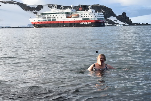 Antarctic swimming..jpg